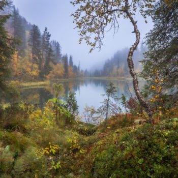 Paysage d'automne en Finlande