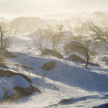 Image d'un paysage enneigé au lever de soleil en Laponie prise lors d'un voyage photo Renardo & Puffinou. ©Marion Doco