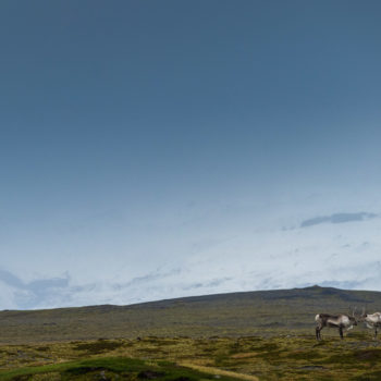 Rennes près du Jokulsarlon