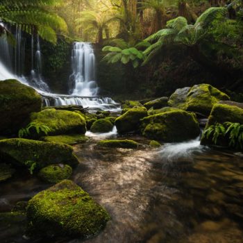 Cascade en Tasmanie