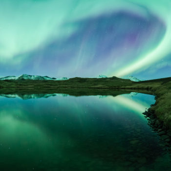 Puffinou sous les aurores en Islande