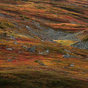 Couleurs d'automne dans le parc du Sarek