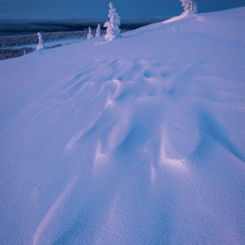 Premieres lueurs sur la neige en Laponie