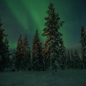 Aurore boréale en Finlande prise lors d'un voyage photo Renardo & Puffinou. ©Sylvianne Genna