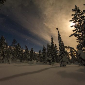 Lever de lune dans une forêt en Finlande lors du stage photo Laponie Renardo & Puffinou. ©Géraud Bonnet
