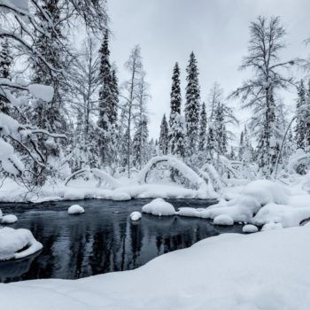 Paysage de forêt avec rivière en hiver en Finlande lors du séjour photo Laponie avec Renardo & Puffinou. ©Gilles Rohaut