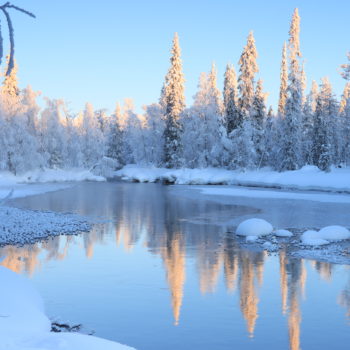 arbre enneigé le long d'une rivière au coucher de soleil. Photo prise un de nos voyages séjour photo en Laponie ©Julie Velasquez