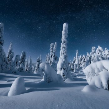 arbre enneigé sur un tuntunri en Finlande