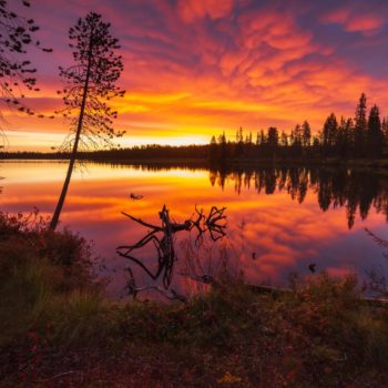 Lever de soleil sur un lac en Finlande