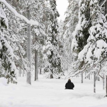 Personne devant un renne couché dans la neige dans une forêt de laponie. ©Hermine Jouan