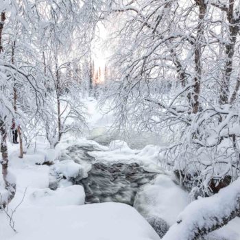 coucher de soleil à travers les arbres enneigé en Laponie finlandaise. ©Angélique Michel