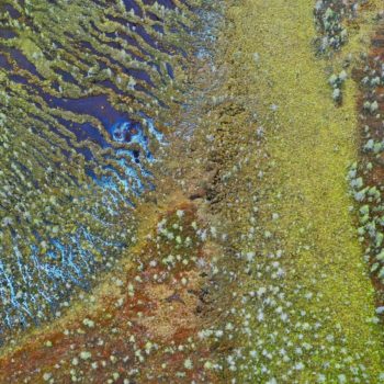 photo aerienne d'une tourbière Aapa en Suède © Cécile Gendraud